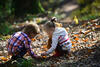Zwei Kinder hocken auf einem Waldboden und sammeln Eicheln