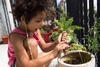 Kind im Grundschulalter erntet euphorisch eine Karotte aus dem Blumentopf auf dem sonnigen Balkon